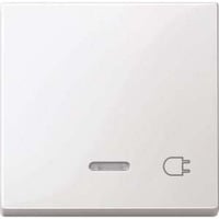 Merten Wippe Kontrollfenster Schalter und Taster Einsatz weiß (glänzend), Retail