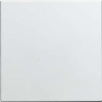 4011395192580 - Blindzentralscheibe 1576 C-914 Zentralplatte