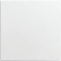 Busch-Jaeger Blindzentralscheibe 1576 C-914, Zentralplatte Retail