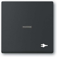 Busch-Jaeger Wippe mit Aufdruck schwarz, Retail