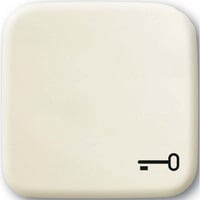 Busch-Jaeger Wippe mit Symbol Schlüssel weiß, Retail