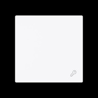 Busch-Jaeger Wippe geschlossen mit Symbol weiß, Retail