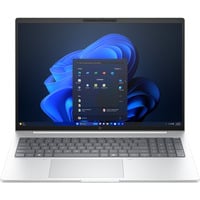 HP EliteBook 8 G1i (DL5V6ET), Notebook silber, Intel® Core™ Ultra 5 225U, Intel® Arc™ Graphics, 16 GB DDR5, 256 GB (256 GB SSD), Windows 11 Pro