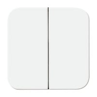 Busch-Jaeger Wippe aws Retail