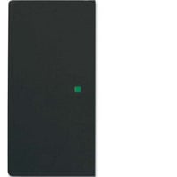 Busch-Jaeger Wippe future linear schwarz, Retail