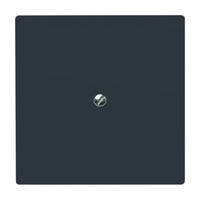 Busch-Jaeger Blindzentralscheibe mit Tragring, Blende anthrazit, Retail