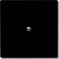 Busch-Jaeger Blindzentralscheibe mit Tragring, Blende anthrazit, Retail