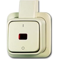 Busch-Jaeger Kontrollausschalter 2polig Aufputz 2601/2 SKAP weiß, Retail