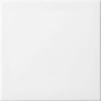 Busch-Jaeger Zentralscheibe neutral für ZETTLER VarioLine Einsätze Serie 127.xxx, Zentralplatte weiß, Retail