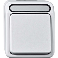 Merten Aus-Kontrollschalter zwei polig hellgrau, Retail