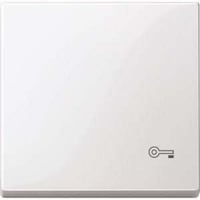 4042811148676 - Wippe Schlüssel für Wechselschalter Kreuzschalter und Taster einteilig glänzend