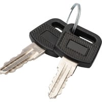 Digitus Schlüssel für Wandgehäuse Dynamic Serie, SOHO 10" & 19" Serie, Ladeschränke 2 Stück