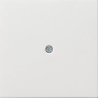 Gira Zentralplatte Schnurableitung glänzend Retail