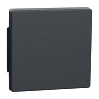 Merten Wippe für Wechselschalter, Kreuzschalter und Taster, einteilige Ausführung, Typ 343114 anthrazit, Retail