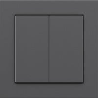 Senic Works with Hue Smart Switch, Taster anthrazit