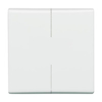 Busch-Jaeger Wippe Auswechselbare Wippe Serien Wechselschalter Wechselschalter Retail