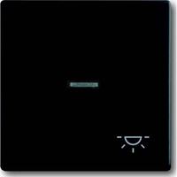 4011395129821 - BJ Wippe f Kontrollschalter 1789 LI-885 Symbol Licht