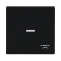 4011395129821 - BJ Wippe f Kontrollschalter 1789 LI-885 Symbol Licht