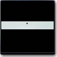 Busch-Jaeger Wippe 1764 NLI-81 anthrazit, Retail