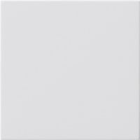 Gira Blindabdeckung ohne Tragring weiß, Retail