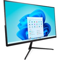ALL-IN-ONE-PC 2401 GREENLINE, PC-System