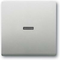 Busch-Jaeger Wippe 1789 Nummer 866 edelstahl, Retail