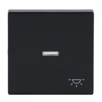 Busch-Jaeger Wippe mit Symbol Licht anthrazit, Retail