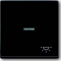 Busch-Jaeger Wippe mit Symbol Licht anthrazit, Retail