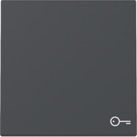 Gira Wippe Symbol Tür anthrazit, Retail