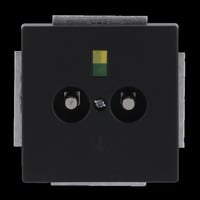 Busch-Jaeger Potentialausgleich Dose zweifach Unterputz schwarz (matt), Retail