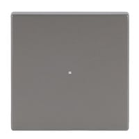 Busch-Jaeger Wippe Edelstahl edelstahl, Retail