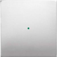 Busch-Jaeger Wippe Edelstahl edelstahl, Retail