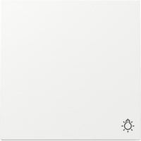 Gira GIRA Wippe Symb. Licht Schalter Reinweiá 328570 weiß, Retail