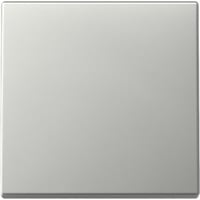 4010337043867 - GIRA 3296600 Wippe System 55 Edelstahl