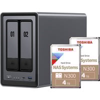4250494931656 - DXP2800 Bundle mit 2x Toshiba N300 4 TB (MN10ADA400ES) NAS