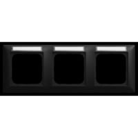 4011395358290 - Abdeckrahmen mit Sichtfenster 1733 NS-915