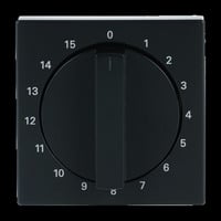 Busch-Jaeger Zentralscheibe Bedienelement, Abdeckung anthrazit, Retail