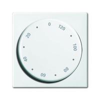 Busch-Jaeger Zentralscheibe, Rahmen Retail