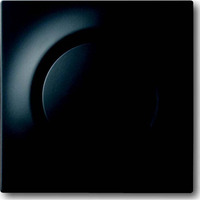 Busch-Jaeger Zentralscheibe mit matter Oberfläche für Ausschalter, Wechselschalter, Kreuzschalter und Taster, Abdeckung schwarz (matt), Retail