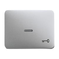 Busch-Jaeger Wippe mit Symbol Schlüssel titan, Retail