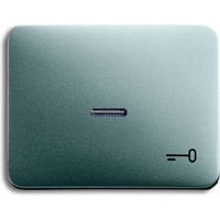 Busch-Jaeger Wippe mit Symbol Schlüssel titan, Retail