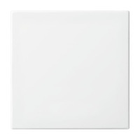 Busch-Jaeger Wippe einteilige Wippe Retail