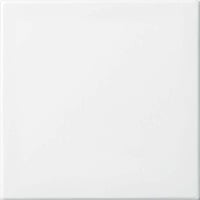 Busch-Jaeger Wippe einteilige Wippe Retail