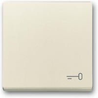 Busch-Jaeger Wippe mit Aufdruck weiß, Retail