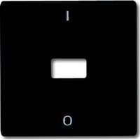 Busch-Jaeger Wippe mit Kontroll-Ausdruck anthrazit, Retail