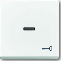 Busch-Jaeger Wippe mit Symbol Schlüssel 1789 TR-84 weiß (glänzend), Retail