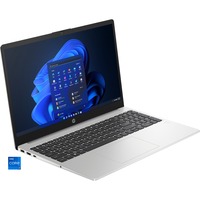 HP 250 G10 (816G0EA), Notebook silber, Windows 11 Pro 64-Bit, 39.6 cm (15.6 Zoll), 512 GB SSD