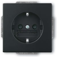 4011395229125 - Schutzkontaktsteckdose Einsatz Typ F 20 EUCRB-885