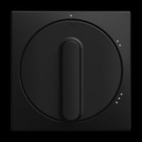 Busch-Jaeger Zentralscheibe 2542 Drehstufendrehschalter ohne Nullstellung, Abdeckung schwarz, Retail