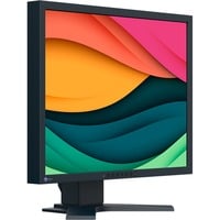 EIZO FlexScan S2134, LED-Monitor 54 cm (21.3 Zoll), schwarz, UXGA, IPS, DisplayPort, DVI-D, VGA